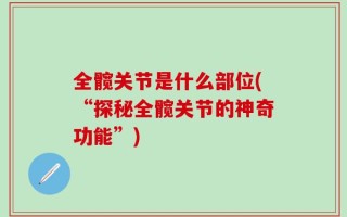 全髋关节是什么部位(“探秘全髋关节的神奇功能”)