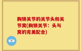 胸锁关节的关节头和关节窝(胸锁关节：头与窝的完美配合)