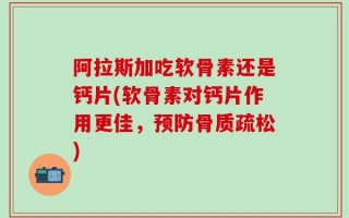 阿拉斯加吃软骨素还是钙片(软骨素对钙片作用更佳，预防骨质疏松)