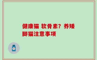 健康猫 软骨素？养矮脚猫注意事项