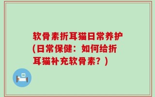 软骨素折耳猫日常养护(日常保健：如何给折耳猫补充软骨素？)