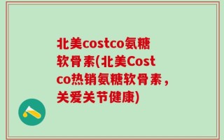北美costco氨糖软骨素(北美Costco热销氨糖软骨素，关爱关节健康)