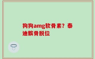 狗狗amg软骨素？泰迪髌骨脱位