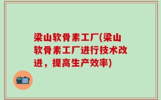 梁山软骨素工厂(梁山软骨素工厂进行技术改进，提高生产效率)
