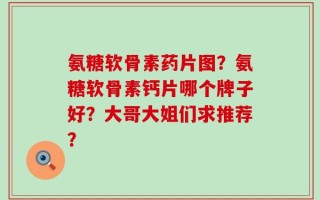 氨糖软骨素药片图？氨糖软骨素钙片哪个牌子好？大哥大姐们求推荐？