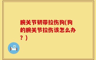腕关节韧带拉伤狗(狗的腕关节拉伤该怎么办？)
