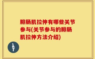 腓肠肌拉伸有哪些关节参与(关节参与的腓肠肌拉伸方法介绍)