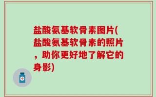 盐酸氨基软骨素图片(盐酸氨基软骨素的照片，助你更好地了解它的身影)