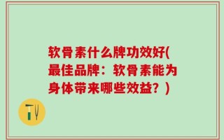 软骨素什么牌功效好(最佳品牌：软骨素能为身体带来哪些效益？)