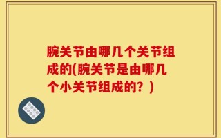 腕关节由哪几个关节组成的(腕关节是由哪几个小关节组成的？)