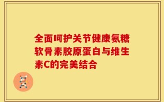 全面呵护关节健康氨糖软骨素胶原蛋白与维生素C的完美结合
