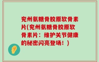 兖州氨糖骨胶原软骨素片(兖州氨糖骨胶原软骨素片：维护关节健康的秘密闪亮登场！)