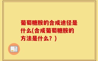 葡萄糖胺的合成途径是什么(合成葡萄糖胺的方法是什么？)