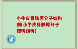 小牛皮骨胶原分子结构图(小牛皮骨胶原分子结构浅析)