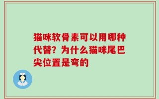 猫咪软骨素可以用哪种代替？为什么猫咪尾巴尖位置是弯的