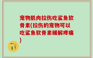 宠物肌肉拉伤吃鲨鱼软骨素(拉伤的宠物可以吃鲨鱼软骨素缓解疼痛)