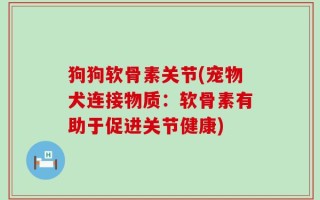 狗狗软骨素关节(宠物犬连接物质：软骨素有助于促进关节健康)