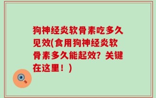 狗神经炎软骨素吃多久见效(食用狗神经炎软骨素多久能起效？关键在这里！)
