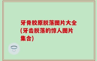 牙骨胶原脱落图片大全(牙齿脱落的惊人图片集合)