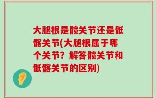 大腿根是髋关节还是骶髂关节(大腿根属于哪个关节？解答髋关节和骶髂关节的区别)