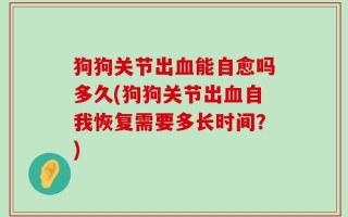 狗狗关节出血能自愈吗多久(狗狗关节出血自我恢复需要多长时间？)