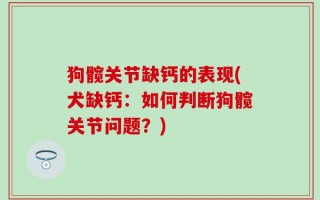 狗髋关节缺钙的表现(犬缺钙：如何判断狗髋关节问题？)