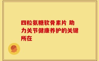 四粒氨糖软骨素片 助力关节健康养护的关键所在