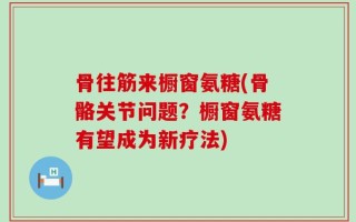 骨往筋来橱窗氨糖(骨骼关节问题？橱窗氨糖有望成为新疗法)