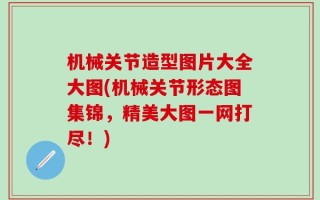 机械关节造型图片大全大图(机械关节形态图集锦，精美大图一网打尽！)