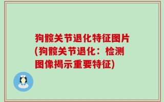 狗髋关节退化特征图片(狗髋关节退化：检测图像揭示重要特征)