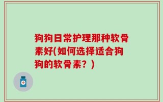 狗狗日常护理那种软骨素好(如何选择适合狗狗的软骨素？)