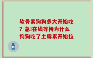 软骨素狗狗多大开始吃？急!在线等待为什么狗狗吃了土霉素开始拉