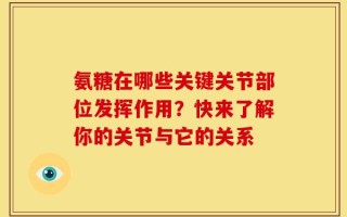 氨糖在哪些关键关节部位发挥作用？快来了解你的关节与它的关系