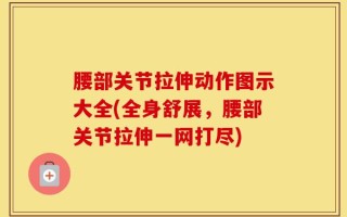 腰部关节拉伸动作图示大全(全身舒展，腰部关节拉伸一网打尽)