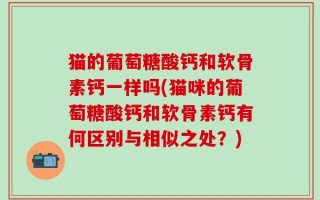 猫的葡萄糖酸钙和软骨素钙一样吗(猫咪的葡萄糖酸钙和软骨素钙有何区别与相似之处？)