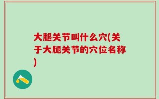 大腿关节叫什么穴(关于大腿关节的穴位名称)