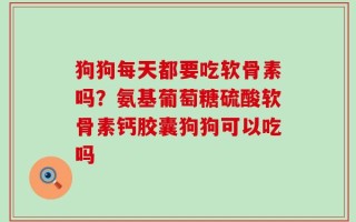 狗狗每天都要吃软骨素吗？氨基葡萄糖硫酸软骨素钙胶囊狗狗可以吃吗