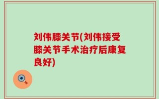刘伟膝关节(刘伟接受膝关节手术治疗后康复良好)