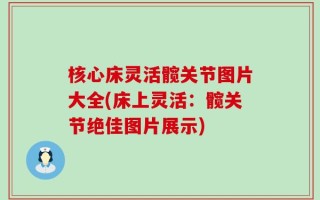 核心床灵活髋关节图片大全(床上灵活：髋关节绝佳图片展示)
