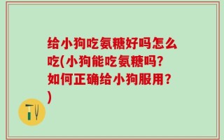 给小狗吃氨糖好吗怎么吃(小狗能吃氨糖吗？如何正确给小狗服用？)