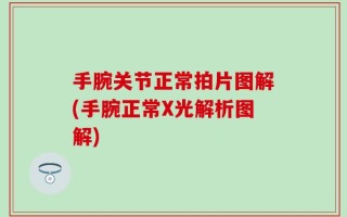 手腕关节正常拍片图解(手腕正常X光解析图解)