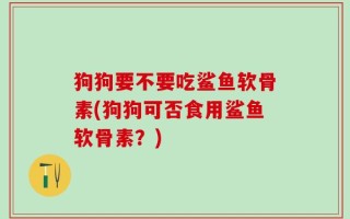 狗狗要不要吃鲨鱼软骨素(狗狗可否食用鲨鱼软骨素？)