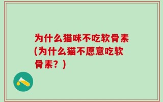 为什么猫咪不吃软骨素(为什么猫不愿意吃软骨素？)