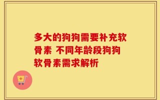 多大的狗狗需要补充软骨素 不同年龄段狗狗软骨素需求解析