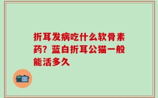 折耳发病吃什么软骨素药？蓝白折耳公猫一般能活多久