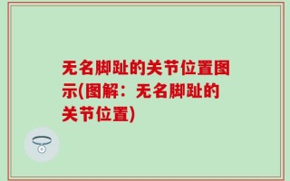 无名脚趾的关节位置图示(图解：无名脚趾的关节位置)