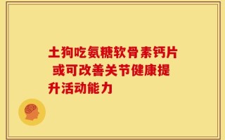 土狗吃氨糖软骨素钙片 或可改善关节健康提升活动能力