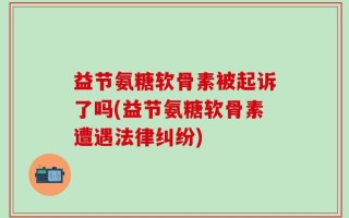 益节氨糖软骨素被起诉了吗(益节氨糖软骨素遭遇法律纠纷)