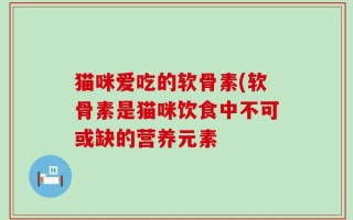 猫咪爱吃的软骨素(软骨素是猫咪饮食中不可或缺的营养元素