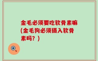 金毛必须要吃软骨素嘛(金毛狗必须摄入软骨素吗？)